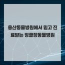 엉클장동물병원 이미지