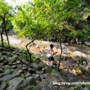 원주식당 이미지