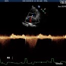 넬동물의료센터 이미지