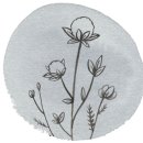 서귀동-38 네이버블로그