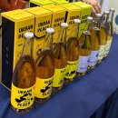 이지콜센터 | 메가쇼 2025 시즌 2 일산 킨텍스 박람회 후기ㅣ주차 구매 리스트