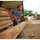 피크닉테이블 이미지