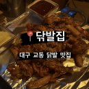 대구 교동 술집 닭발 전문점 닦발집 평일 방문 후기