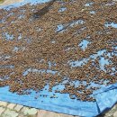 도토리농장 이미지