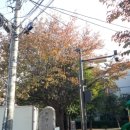 초롱어린이공원 이미지