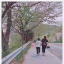 삼포선착장 네이버블로그