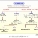 급성골수성백혈병 이미지