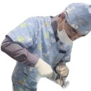 목감동물병원 이미지