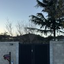 하녹스테이 | 강릉 | 설송하녹 반려동물 동반 한옥 스테이 내돈내산 2박 3일 후기