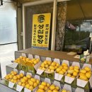 봉진농장 이미지