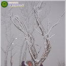 두문동터널 앞 이미지