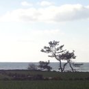 일과2교차로 2 이미지