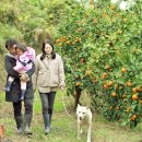 혜연농장 이미지