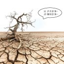 빛이나는피부 | 리투오 스킨부스터 효과 청담피부과 빛이 나는 광채뿜뿜 2주차 후기