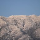 얼음천국