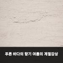 바다의향기 | 푸른 바다의 향기 여름의 계절감상