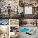 2023 대청호 벚꽃길 마라톤 대회 | 흩날리는 꽃잎, 멈추지 않는 심장: 2026 대청호 벚꽃 마라톤 '극한84' 질주 후기 및 일정·준비물 총정리