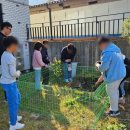 강경황산초등학교 이미지