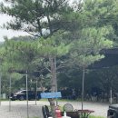 감악산계곡쉼터 | 파주 취사가능 계곡 감악산계곡쉼터 애견동반도 가능