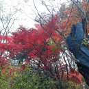 덕수궁길 이미지
