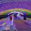 청양 출렁다리 알프스 마을 '여기가 겨울왕국' / 칠갑산 얼음분수 축제 이미지