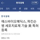 투－에스주