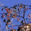 구천동1로 이미지