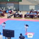 첨단태권도체육관 이미지