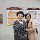 성주문화예술회관 공연장 이미지