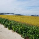 효원공인중개사사무소 이미지