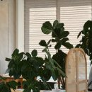 만세로주유소 이미지