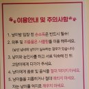 냥이 싸롱 이미지