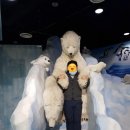 온더플레이트 이미지