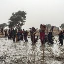 카메룬: 나이지리아 란 (Rann) 지역을 떠나온 수천 명…긴급 지원 필요 이미지