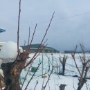 강현농장 이미지