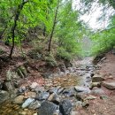 영월캠프 이미지