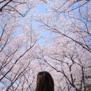 (주)후경 | [주간일기] 4월 1주.