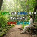 한국동그라미파트너스주식회사 | 숲캉스, 정말 스트레스 해소에 효과 있을까? 과학적 근거 분석