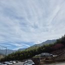 정금 | [태교여행] 하동 감성숙소 | 켄싱턴리조트 하동 디럭스 스파룸 후기 (쌍계사, 정금차밭)