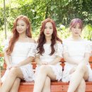 메이비 - 시흥시 은행로 169 | 메이비