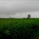 갯골생태공원 이미지