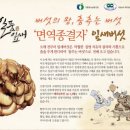 일품잎새버섯