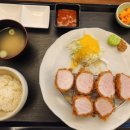 우재카츠 이미지