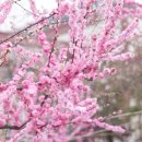 T2카페테리아 이미지