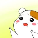 용상회 - 봉화군 예봉로 1268 | 용상회