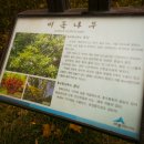 운주산 등산로 이미지