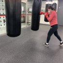 유타복싱클럽 이미지