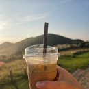 새빌 | 제주 새별오름 감성 핑크뮬리 카페, 새빌카페 방문 후기 제주시 카페 핑크뮬리