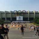 (주) 인그로 | 화려했던 울트라 뮤직 페스티벌, UMF Korea 2016 후기