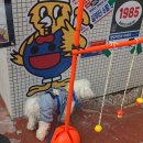 하림맥시칸 이미지